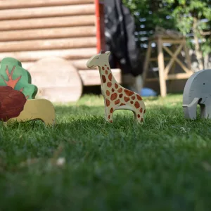 Wooden forest animals toy set